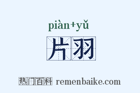 片羽是什么意思的图片